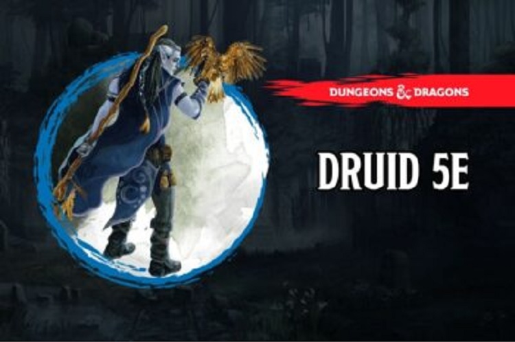 Druid 5E