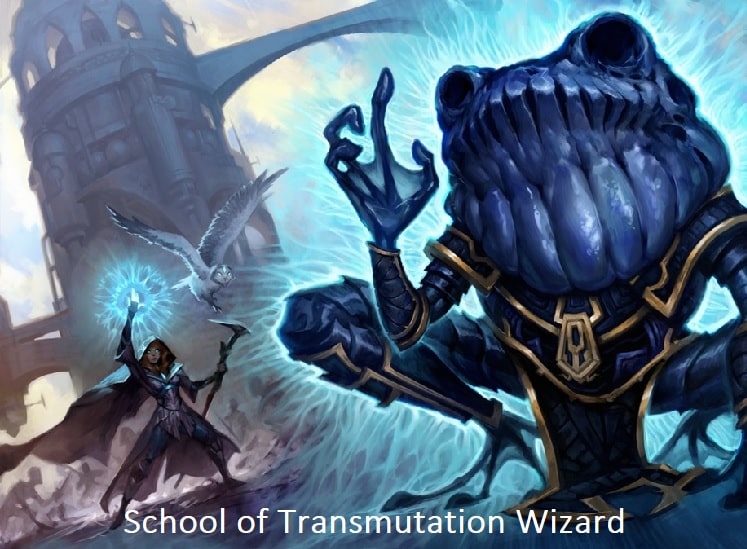 School of Transmutation wizard