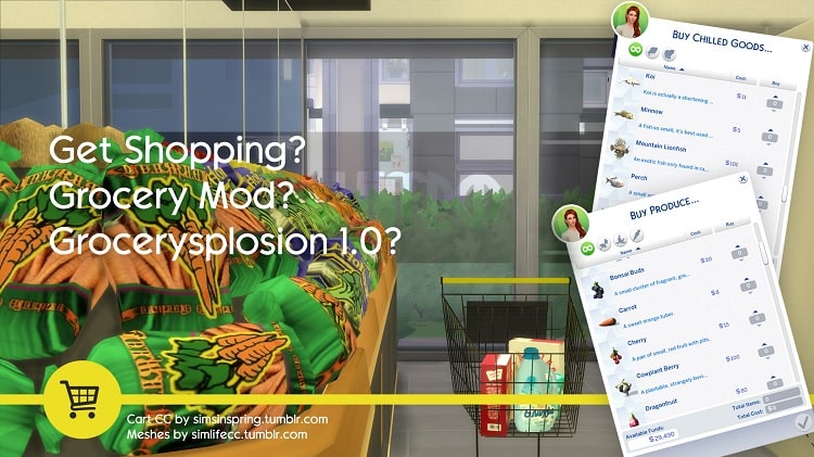 How to download the grocery store mod