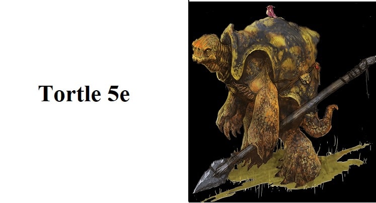 Tortle 5e Race 