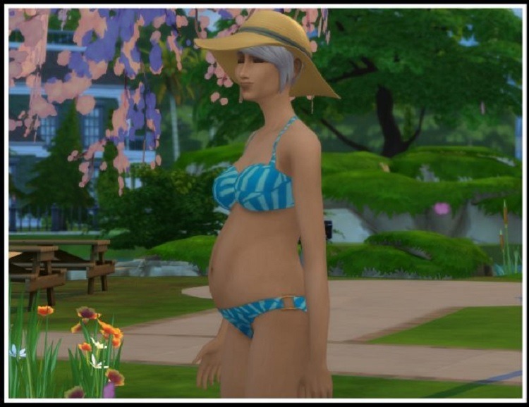 Sims 4 Pregnancy