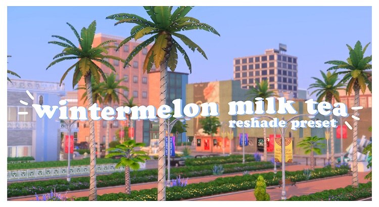 Wintermelon Milk Tea Reshade Preset by Malixa