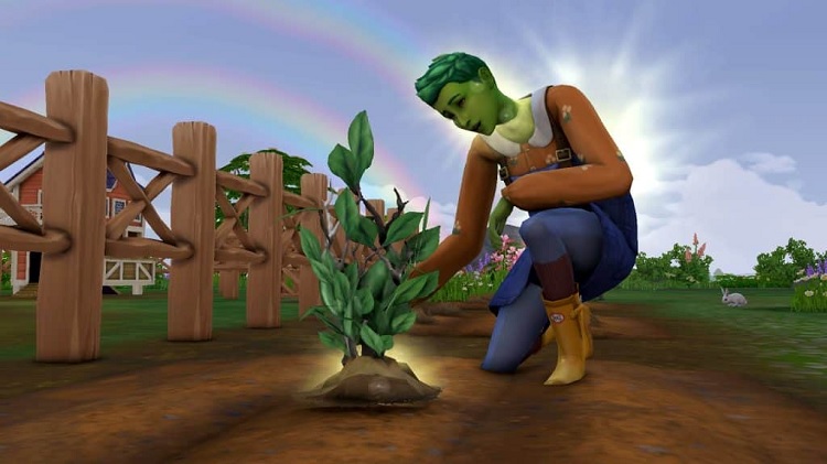 Care for Plants as a PlantSim