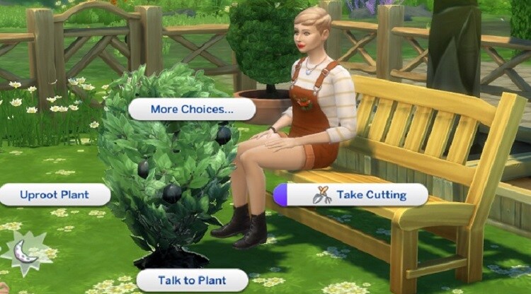 Make Your Sim Talk to Plants