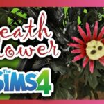 Sims 4 Death Flower