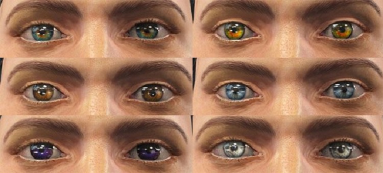 The eyes of beauty fallout edition