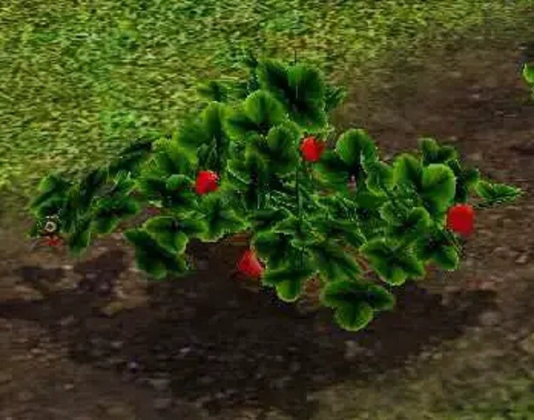 How To Grow Strawberries In Sims 4