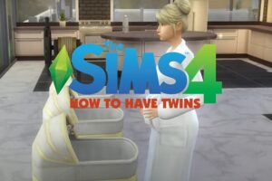 Sims 4 Twins Cheat