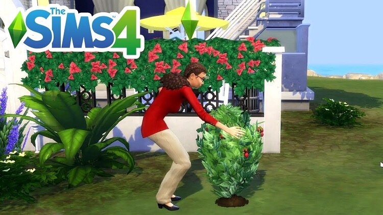 Where To Find Strawberries In Sims 4