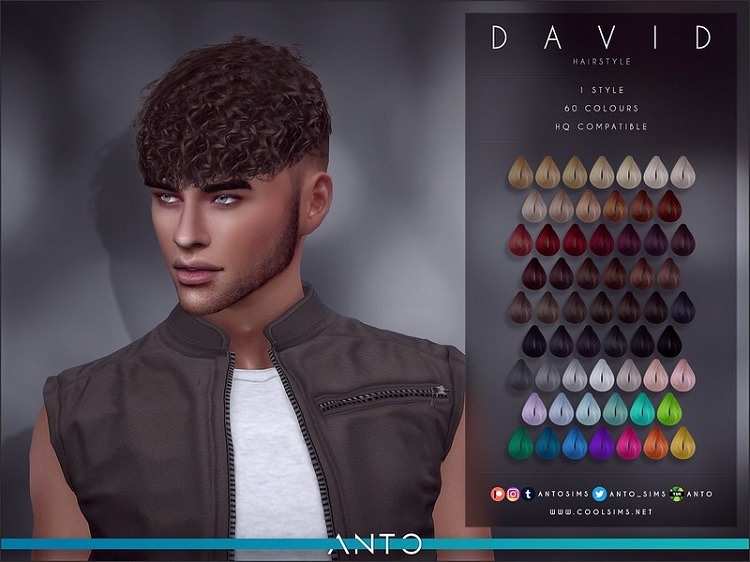 David Hair