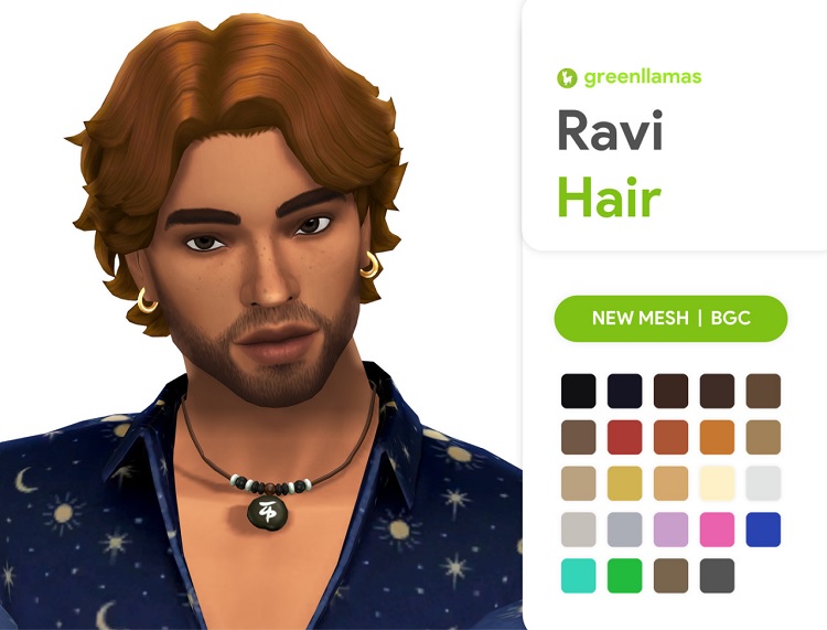 Ravi Hair