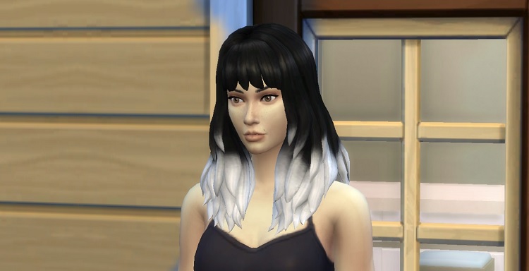 Coffintramp's Monochrome/Two-Tone Ombre Gt Dipped Hair Recolors