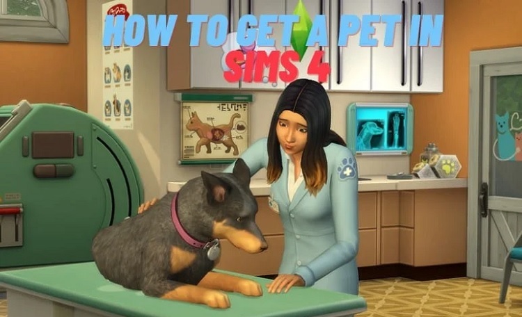 How To Get A Pet Sims 4