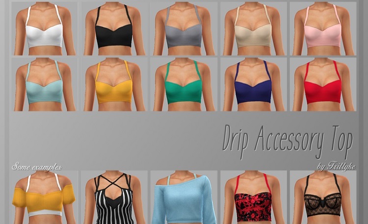 Trillyke Accessory Crop Top